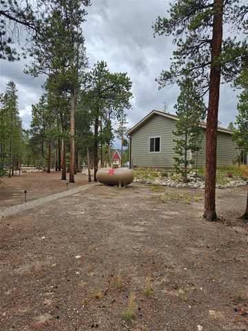 455 Cedar Drive, Leadville, CO 80461