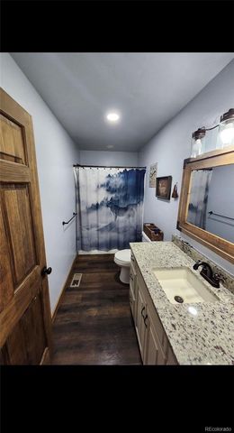 455 Cedar Drive, Leadville, CO 80461