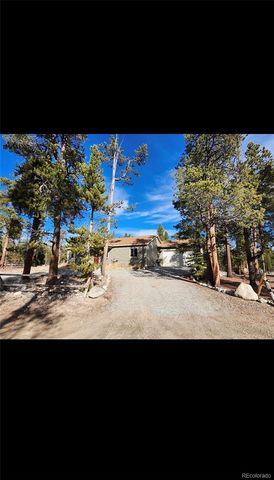 455 Cedar Drive, Leadville, CO 80461