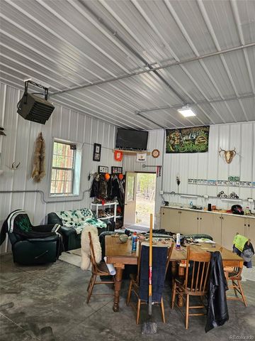 455 Cedar Drive, Leadville, CO 80461