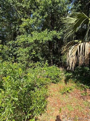 444 N Hourglass Terrace, Crystal River, FL 34429