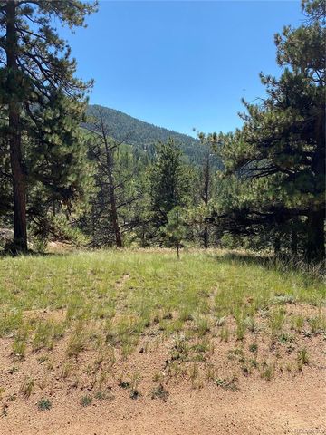 452 Wilson Drive, Florissant, CO 80816