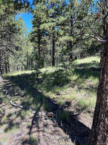 452 Wilson Drive, Florissant, CO 80816