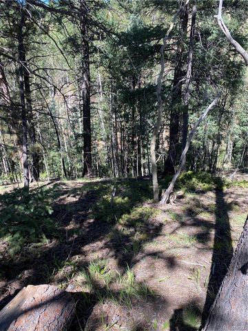 452 Wilson Drive, Florissant, CO 80816
