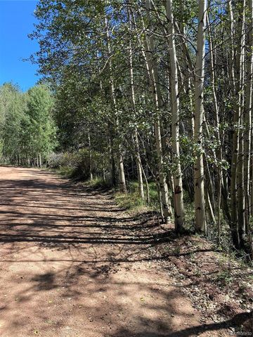 452 Wilson Drive, Florissant, CO 80816