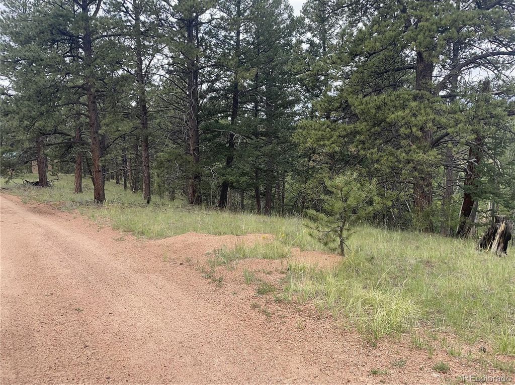 452 Wilson Drive, Florissant, CO 80816