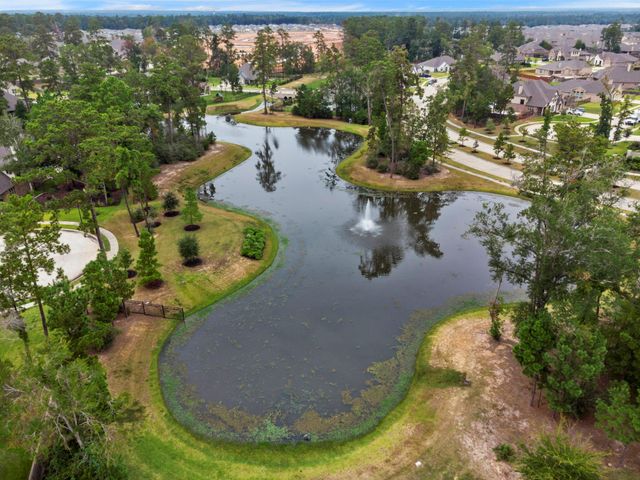 14215 Black Canyon Lane, Conroe, TX 77384