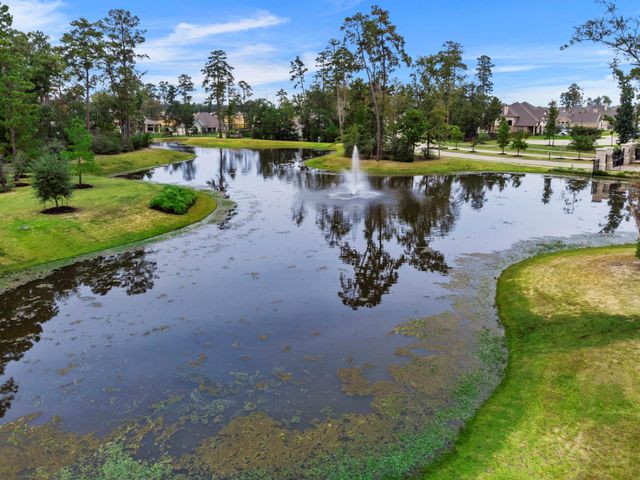 14215 Black Canyon Lane, Conroe, TX 77384