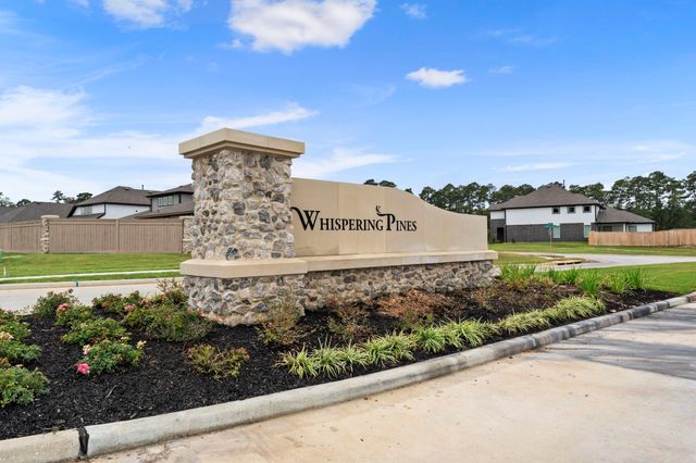 14215 Black Canyon Lane, Conroe, TX 77384