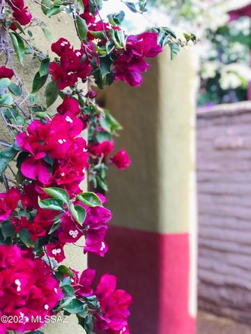 841 S Meyer Avenue, Tucson, AZ 85701