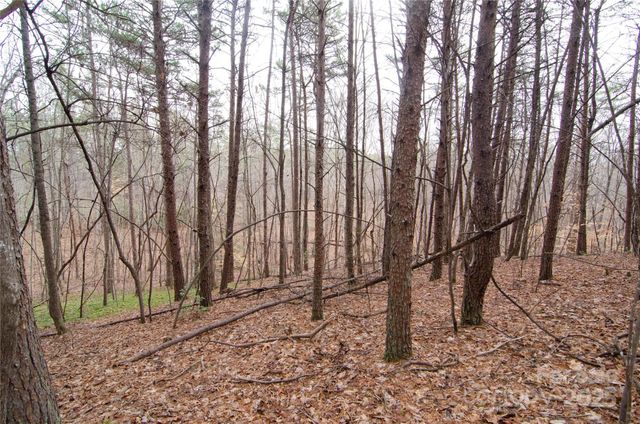 0 Rainbow Rapids Road, Rutherfordton, NC 28139