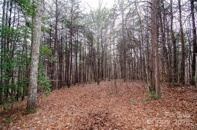 0 Rainbow Rapids Road, Rutherfordton, NC 28139