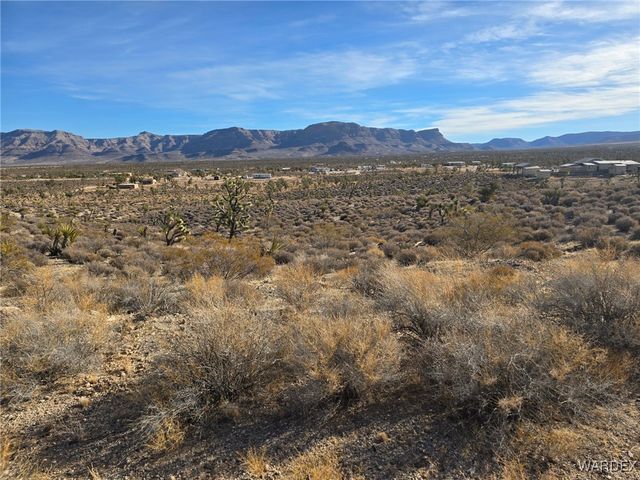 27072 N Rainbow Road, Meadview, AZ 86444