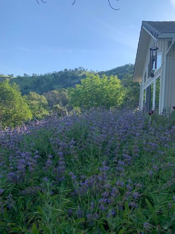 41299 E Mynatt Drive, Three Rivers, CA 93271