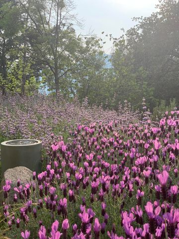 41299 E Mynatt Drive, Three Rivers, CA 93271