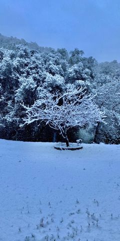 41299 E Mynatt Drive, Three Rivers, CA 93271