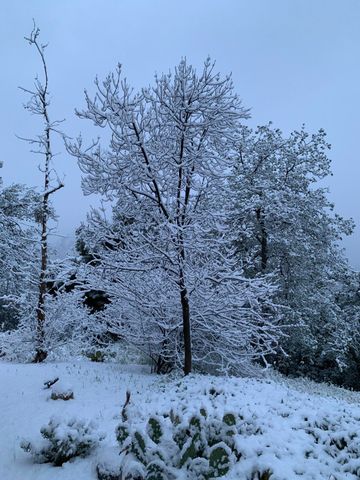 41299 E Mynatt Drive, Three Rivers, CA 93271