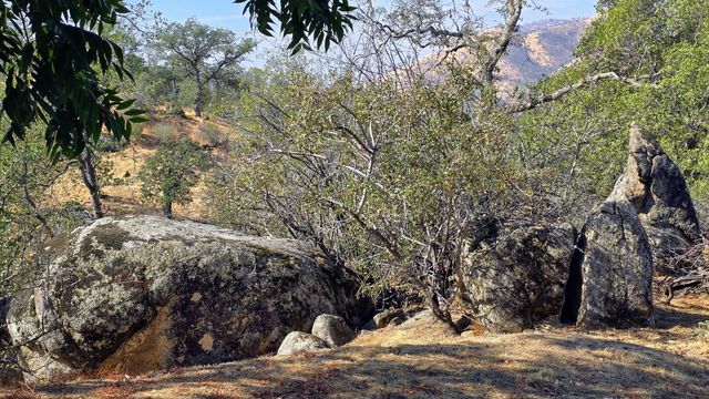 41299 E Mynatt Drive, Three Rivers, CA 93271