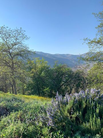 41299 E Mynatt Drive, Three Rivers, CA 93271