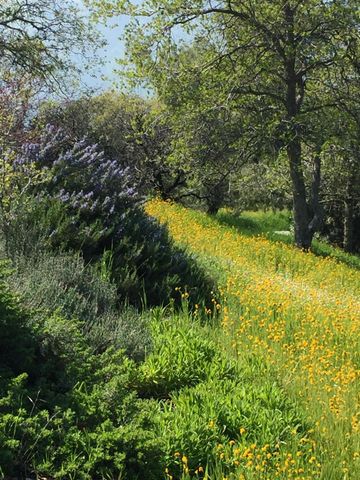 41299 E Mynatt Drive, Three Rivers, CA 93271