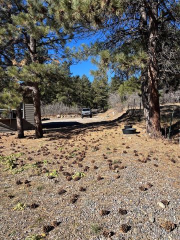 802 State Rd 29, Chama, NM 87520
