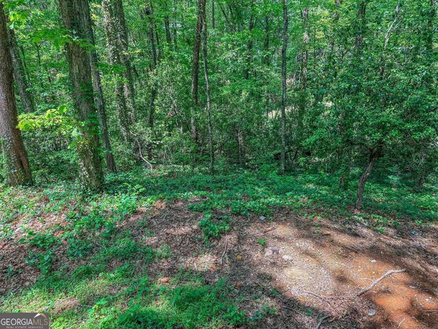 407 Hillside Drive, Clayton, GA 30525