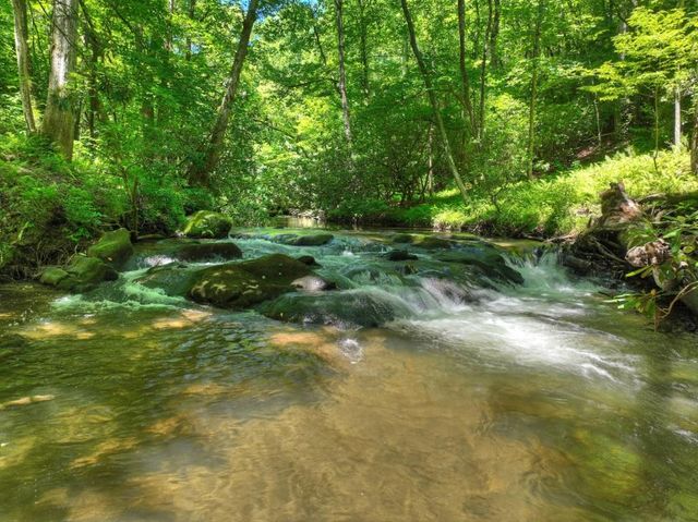 2628 Big Creek Road, Cherry Log, GA 30522