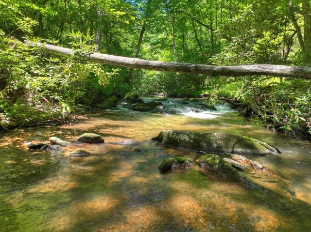 2628 Big Creek Road, Cherry Log, GA 30522
