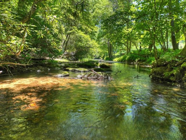 2628 Big Creek Road, Cherry Log, GA 30522