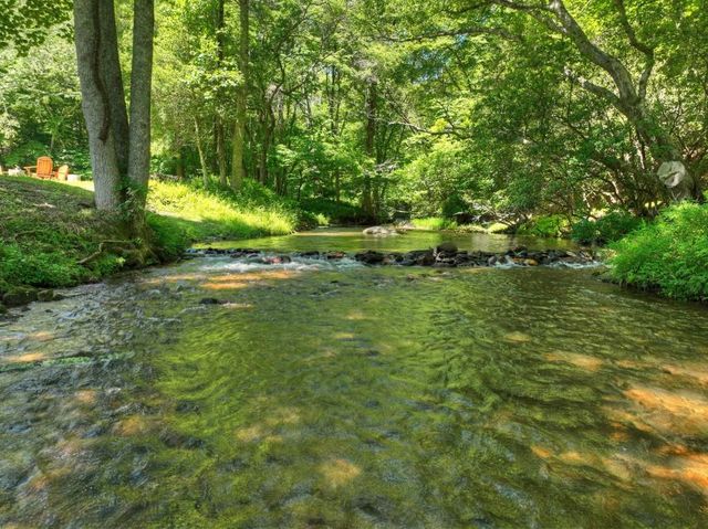 2628 Big Creek Road, Cherry Log, GA 30522