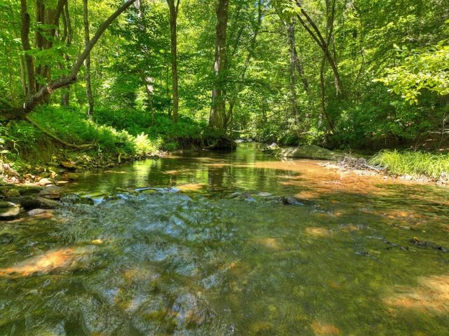 2628 Big Creek Road, Cherry Log, GA 30522