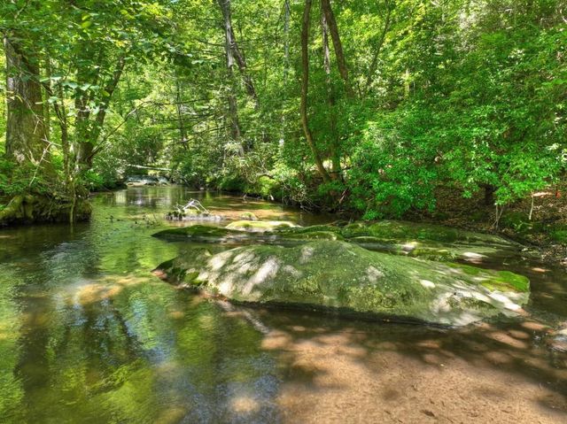 2628 Big Creek Road, Cherry Log, GA 30522