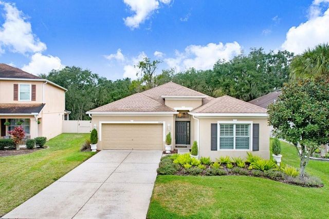 11415 COVENTRY GROVE CIRCLE, Lithia, FL 33547