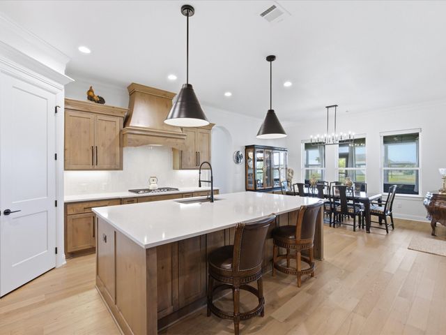 317 Kenyon Court, Granbury, TX 76049