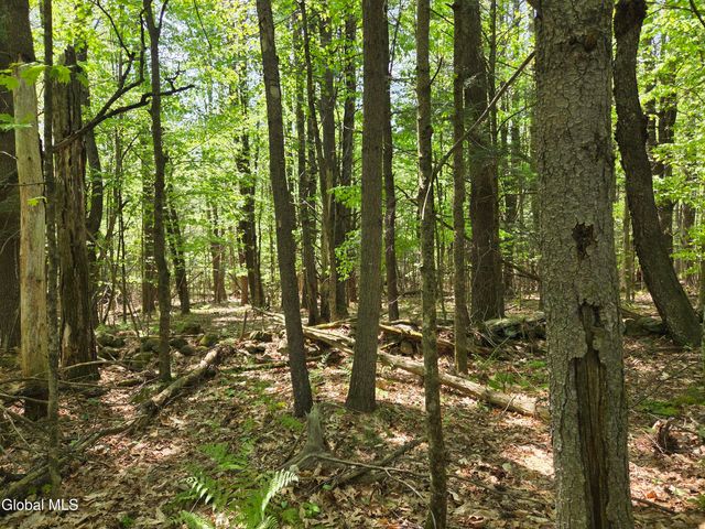 410 Middle Grove Road, Middle Grove, NY 12850