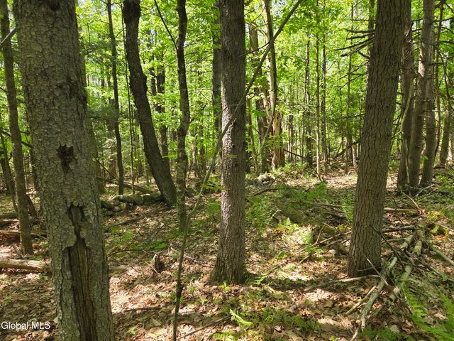 410 Middle Grove Road, Middle Grove, NY 12850