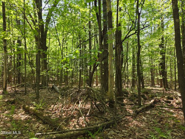 410 Middle Grove Road, Middle Grove, NY 12850