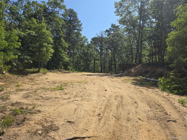 Manor Yaphank Road, Manorville, NY 11949