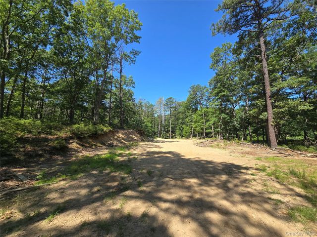 Manor Yaphank Road, Manorville, NY 11949