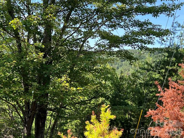 0 Brighton Drive 226, Bostic, NC 28018