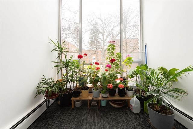 269 Harvard St. 19, Cambridge, MA 02139