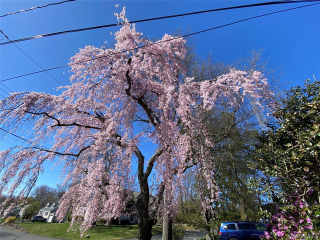 315 Manor Boulevard, Pearl River, NY 10965