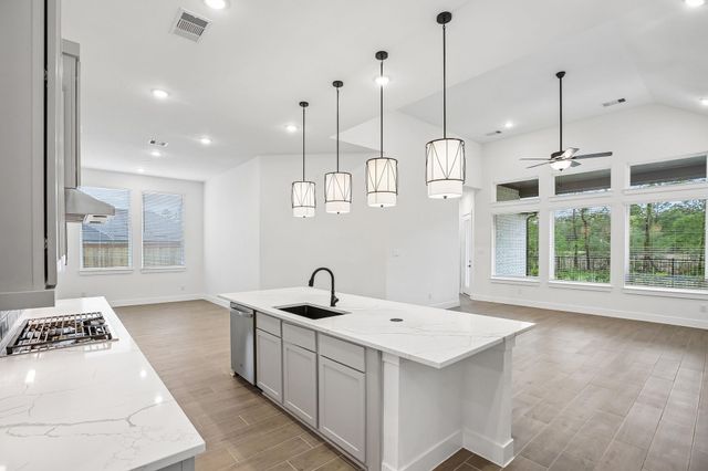 26312 W Outrider Banks, Montgomery, TX 77316