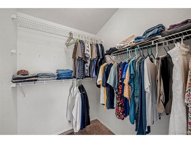 9308 Wolfe Dr, Highlands Ranch, CO 80129