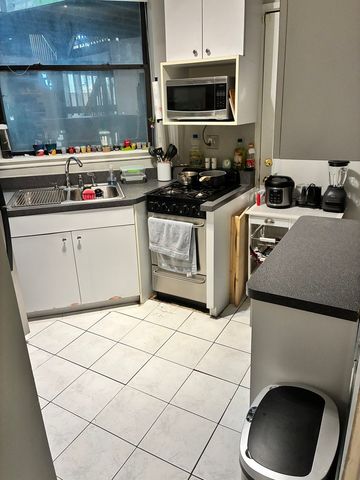 902 W Grace Street 1, Chicago, IL 60613