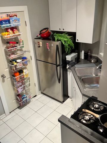 902 W Grace Street 1, Chicago, IL 60613