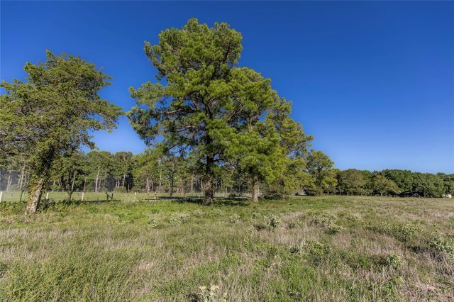 Tract 2 Nelius Road, Bellville, TX 77418