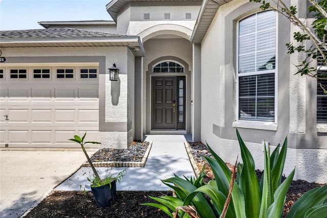 10024 COLDWATER LOOP, Land O Lakes, FL 34638