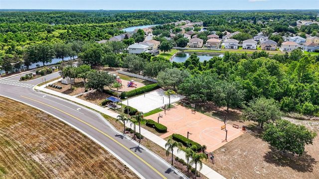 10024 COLDWATER LOOP, Land O Lakes, FL 34638