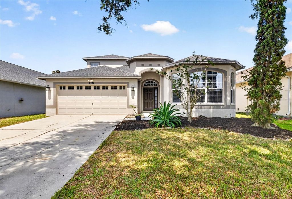10024 COLDWATER LOOP, Land O Lakes, FL 34638